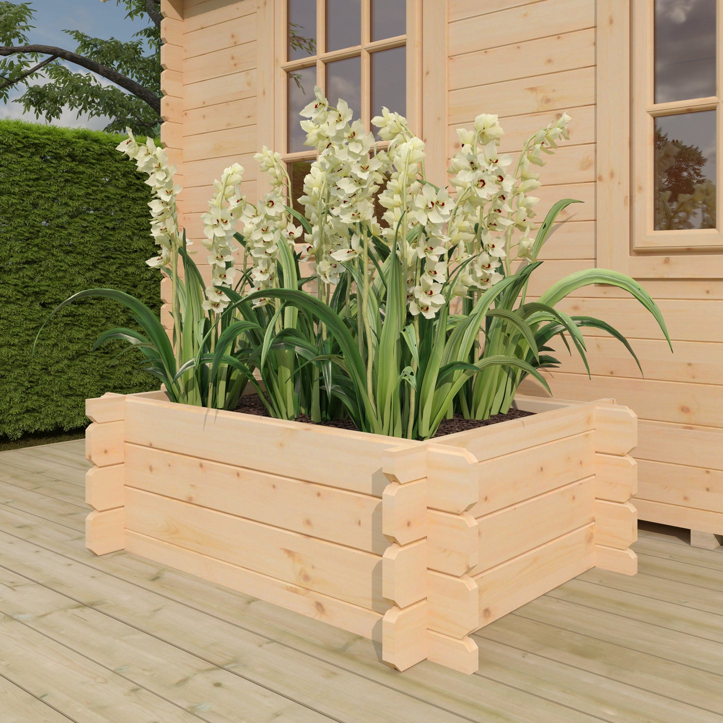 The Raised Flower Beds 19mm